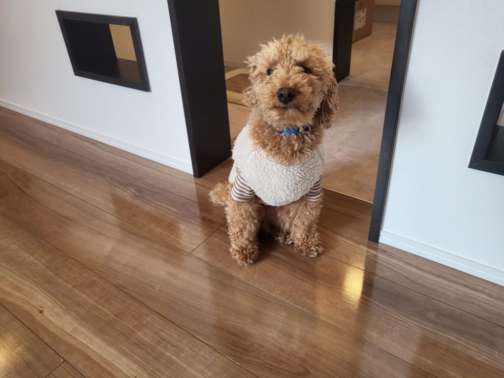 千葉県八千代ケ市 T様邸 No.3078のフロアコーティング施工事例