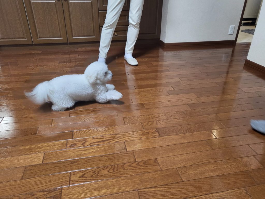 茨城県つくば市 I様邸 No.3391のフロアコーティング施工事例