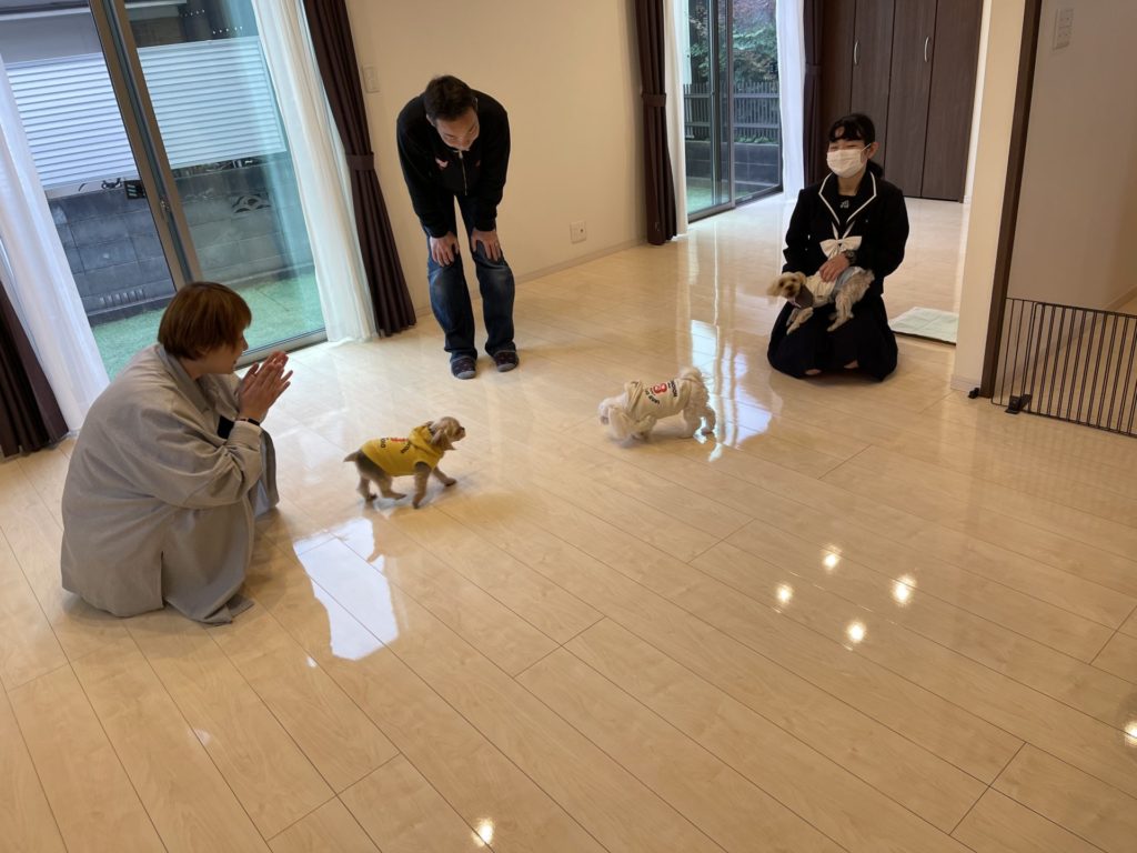 岡山県岡山市 S様邸 「やって後悔はない」と胸張って言えます。No.3460のフロアコーティング施工事例