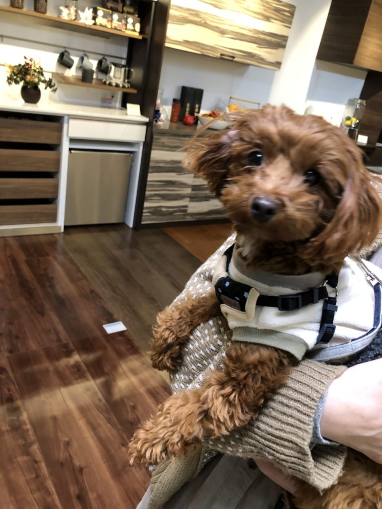 岐阜県岐阜市 N様邸 No.3514のフロアコーティング施工事例