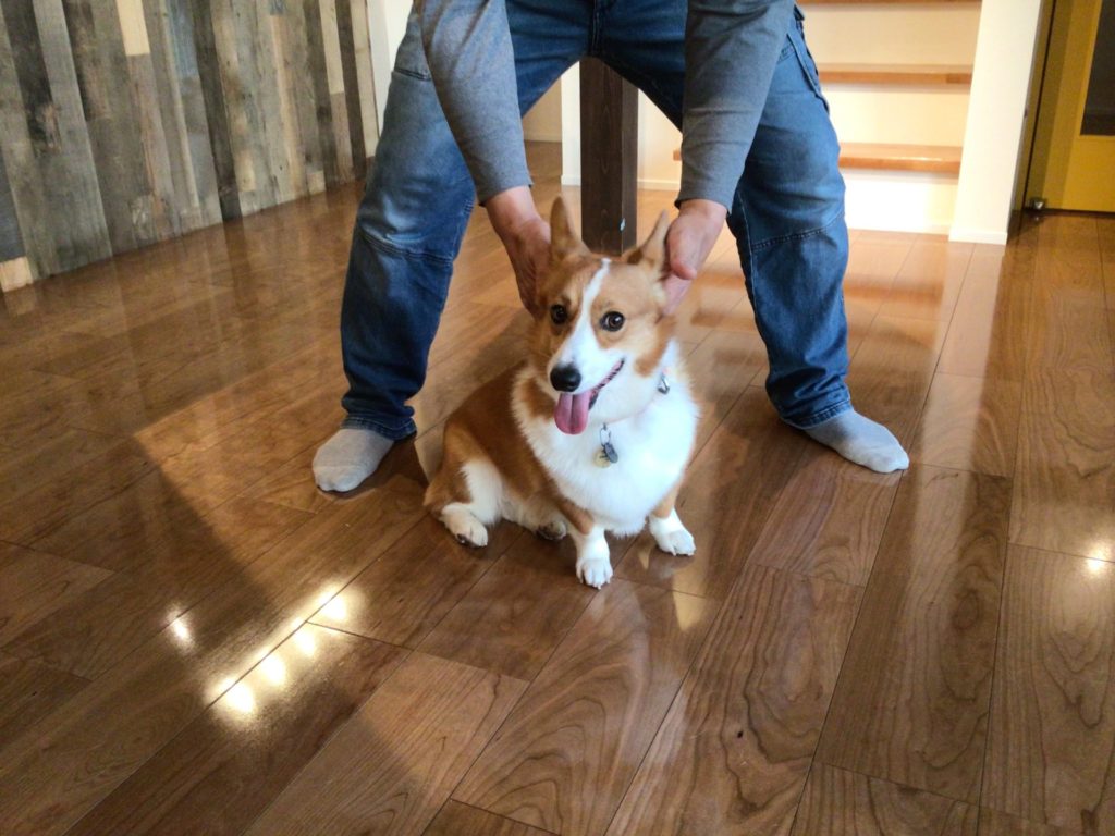 愛知県豊田市Y様邸 No.3679のフロアコーティング施工事例