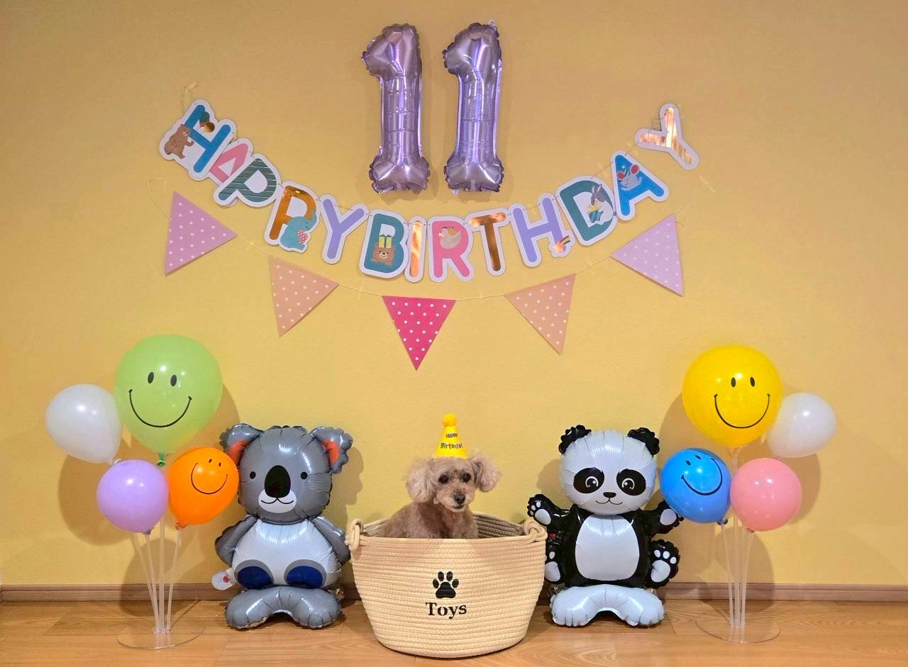 茨城県水戸市 I様邸 No.3754 7 【MOCOちゃん】茨城県水戸市 I様邸 250919