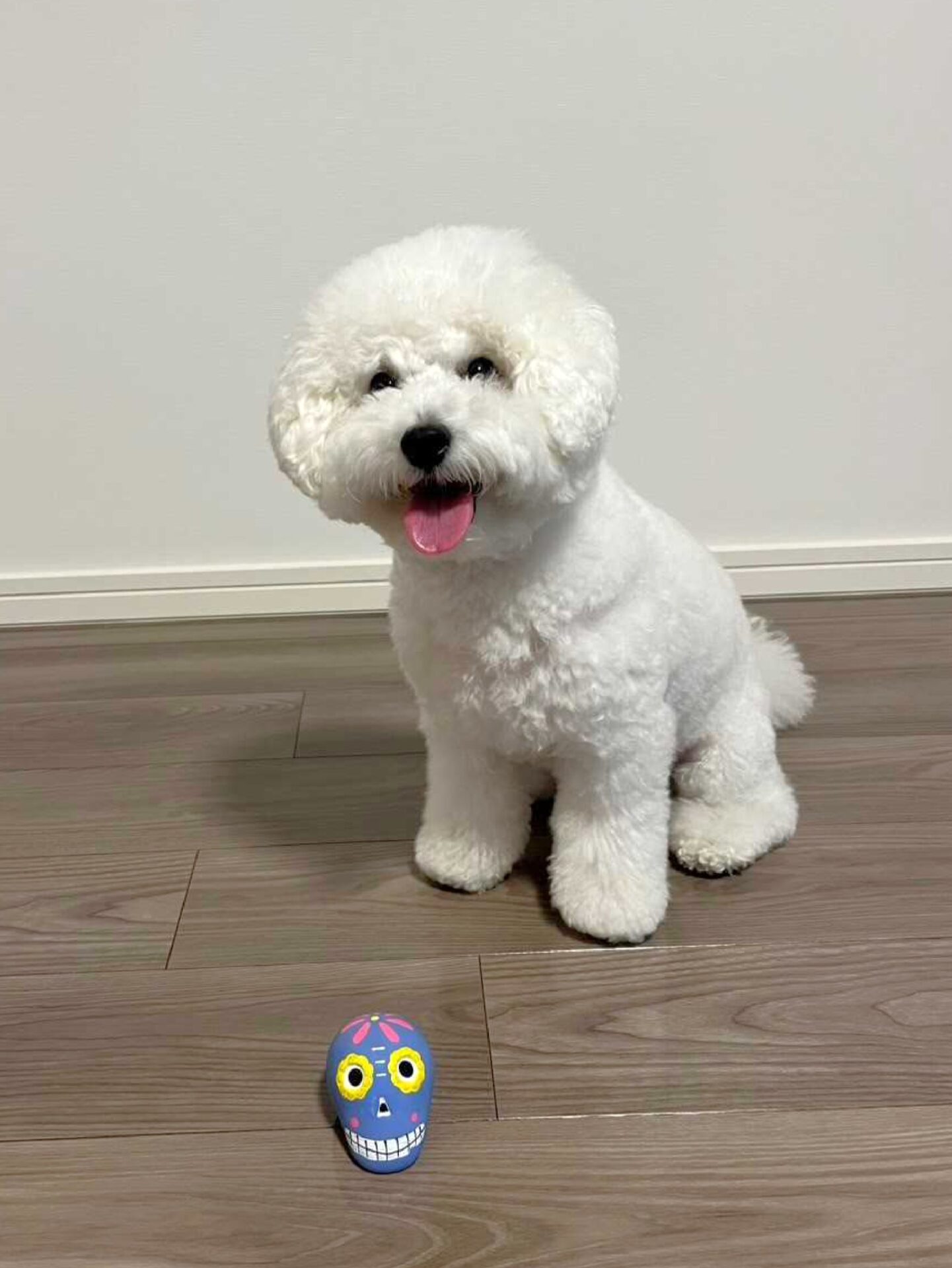 【ぷりんくん②】三重県津市 F様邸 251004