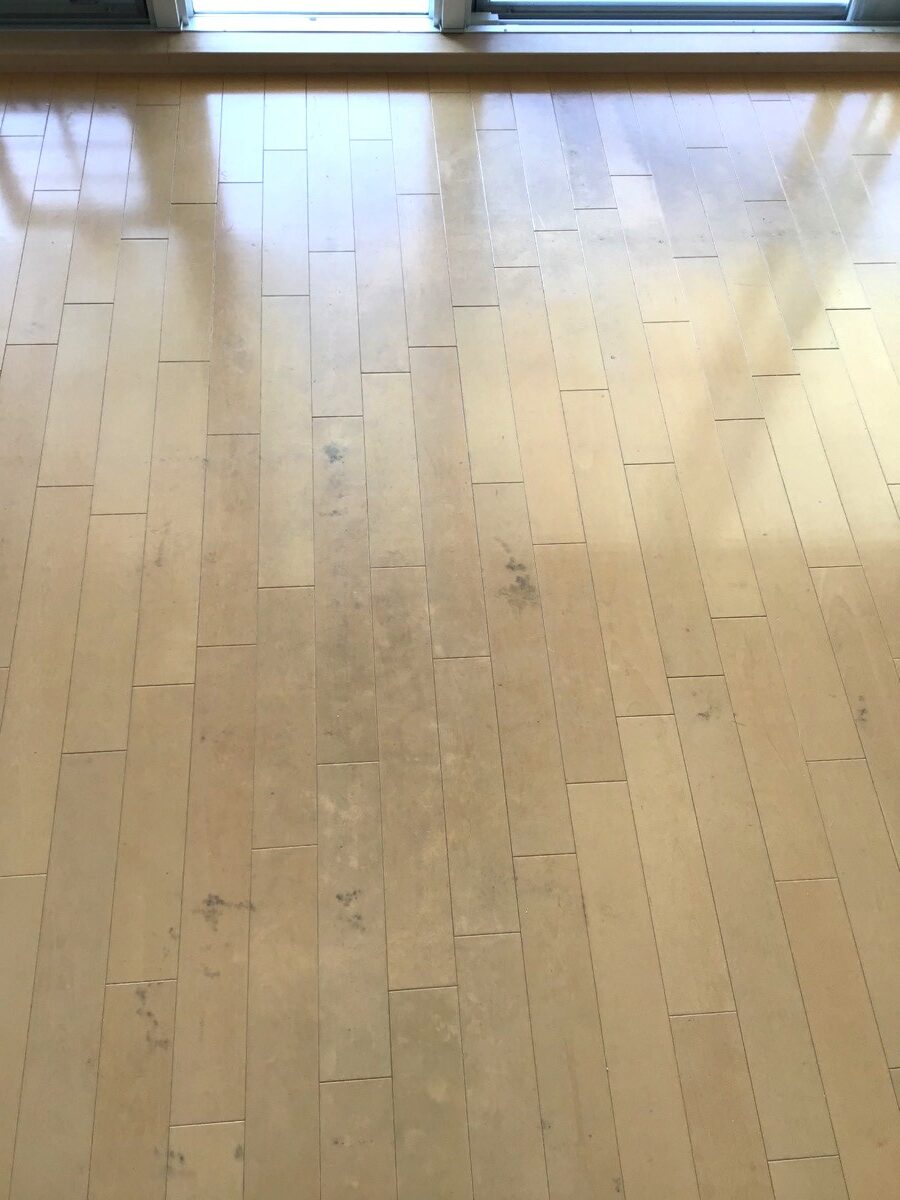 【LDK 施工前】広島県広島市 K様邸 251109 1 rotated