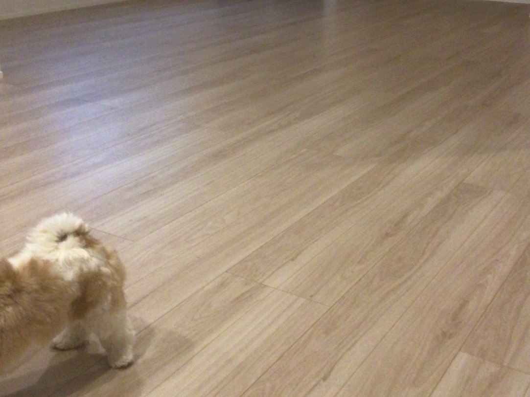 【LDK 施工前】新潟県柏崎市 Y様邸 251109