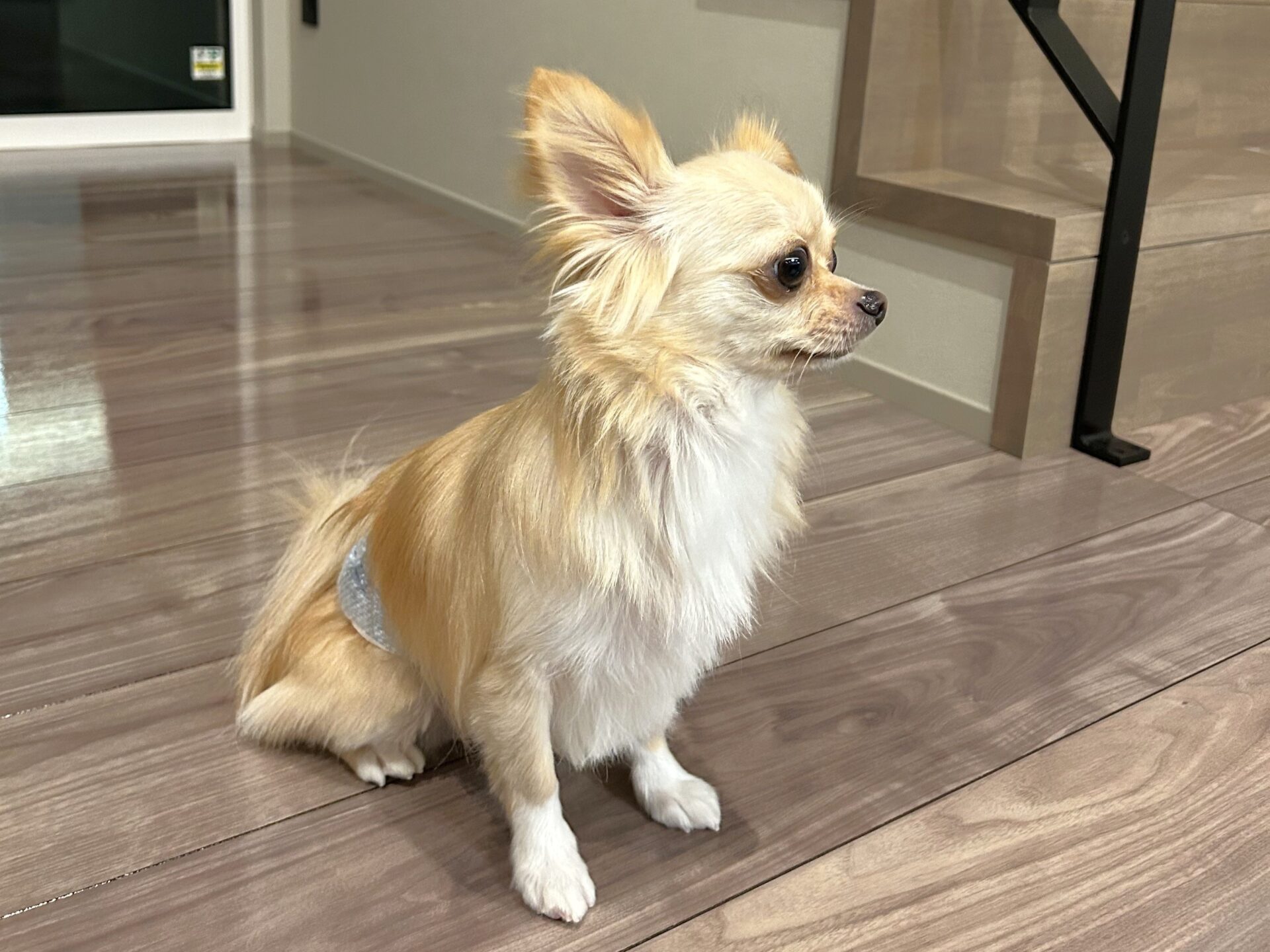 愛知県春日井市 S様邸 No.3780 23 【いなりくん①】愛知県春日井市 S様邸 251101