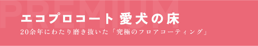 エコプロコート愛犬の床